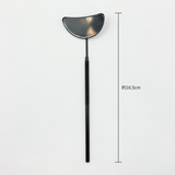 RIS Mirror